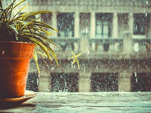 Nằm mơ thấy mưa phùn là điềm báo gì
