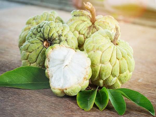 Nằm mơ thấy quả na đánh con gì? Điềm báo giấc mơ