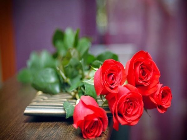 Nằm mơ thấy hoa hồng đánh con gì? Điềm báo giấc mơ