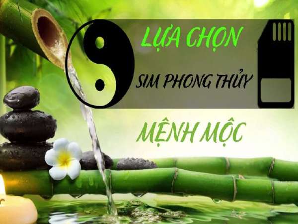 Sim phong thủy hợp mệnh Mộc, cách chọn sim chính xác nhất