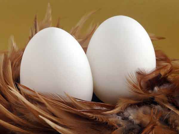 Nằm mơ thấy trứng ngỗng là điềm báo lành hay dữ?