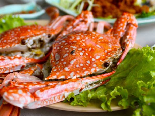 Nằm mơ thấy con ghẹ choi xổ số số mấy Nằm mơ thấy con ghẹ choi xổ số số mấy