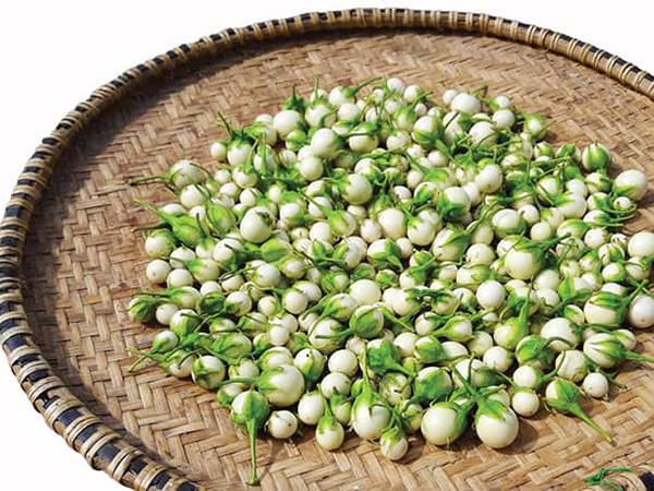 Mơ thấy quả cà pháo đánh con gì vào bờ, là điềm gì?