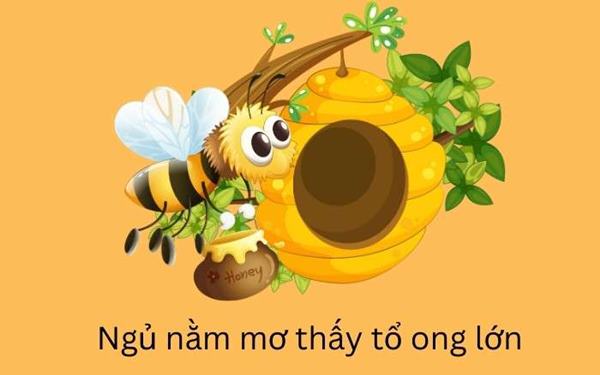 Mơ thấy tổ ong điềm gì?