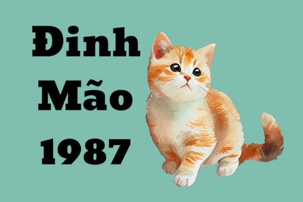 Dự đoán con số may mắn tuổi Đinh Mão hôm nay