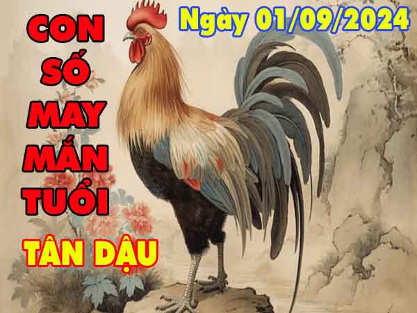 Phân tích con số may mắn tuổi Tân Dậu ngày 1/9/2024 chủ nhật