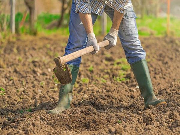 Thấy thuyền cuốc đất dễ xuất hiện con số gì dễ trúng thưởng