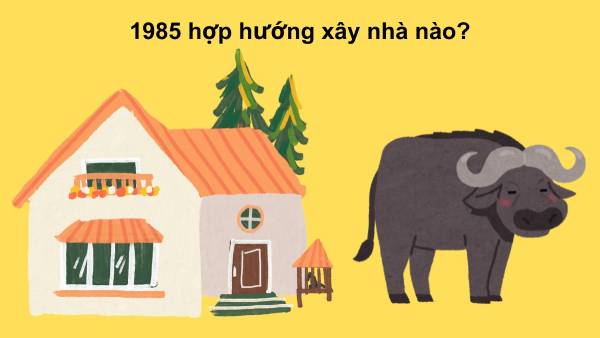 nam 1985 hợp hướng nào