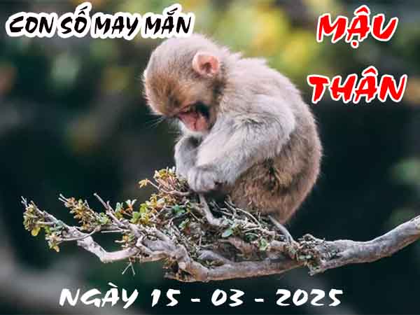 Cặp số đẹp tuổi Mậu Thân ngày 15/3/2025 thứ 7 hôm nay