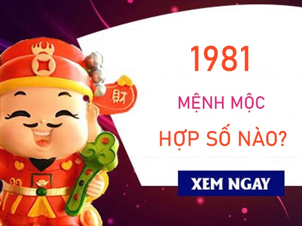 Mệnh Mộc 1981 hợp số nào vượng phát sự nghiệp?