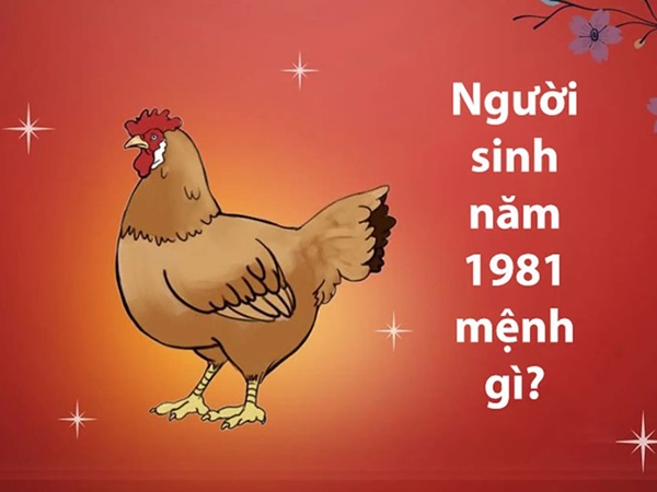 Mệnh Mộc 1981 hợp số nào vượng phát sự nghiệp?