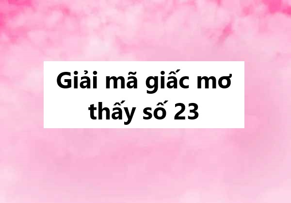 Giải mã giấc mơ thấy số 23
