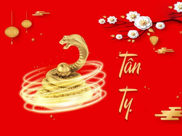 Bật mí tuổi Tỵ 2001 hợp với số nào để lộc vào như nước?