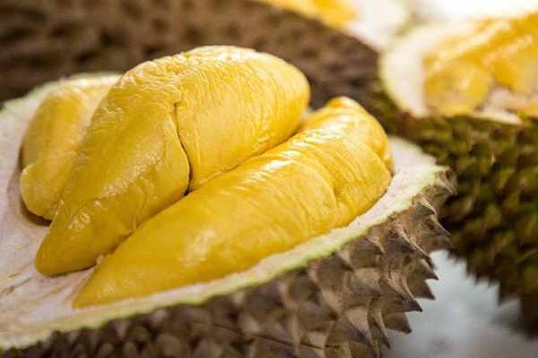 Luận giải giấc mộng thấy đang hái quả sầu riêng trên cây