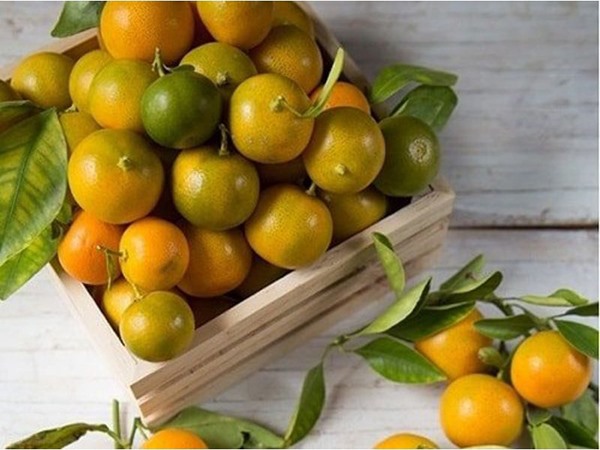 Ngủ mơ thấy quả quất có phải điềm báo tài lộc?